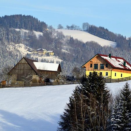 Almferienhaus Russmann Frantschach Bagian luar foto