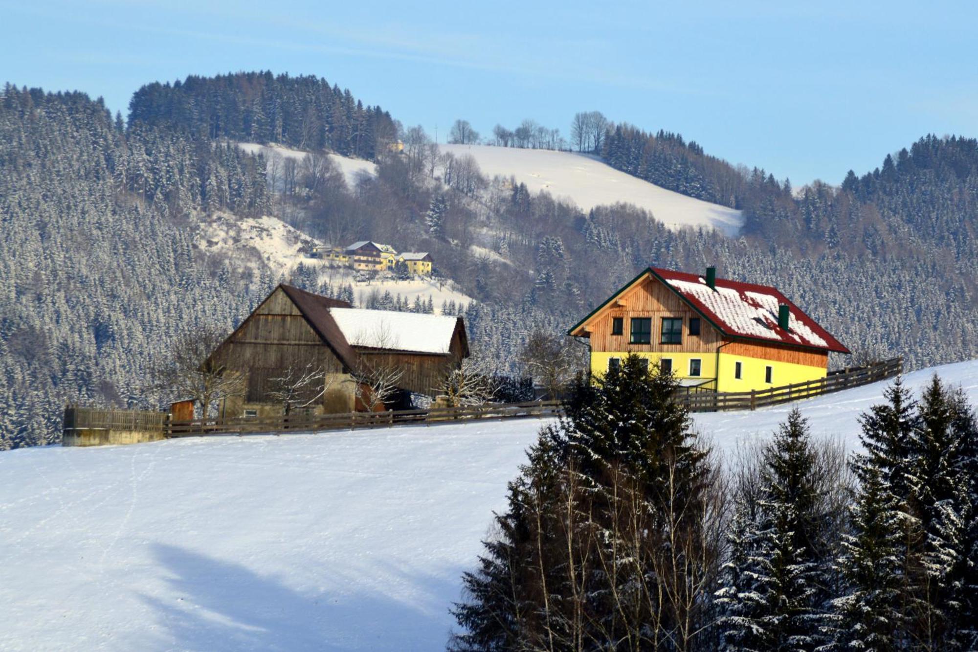 Almferienhaus Russmann Frantschach Bagian luar foto