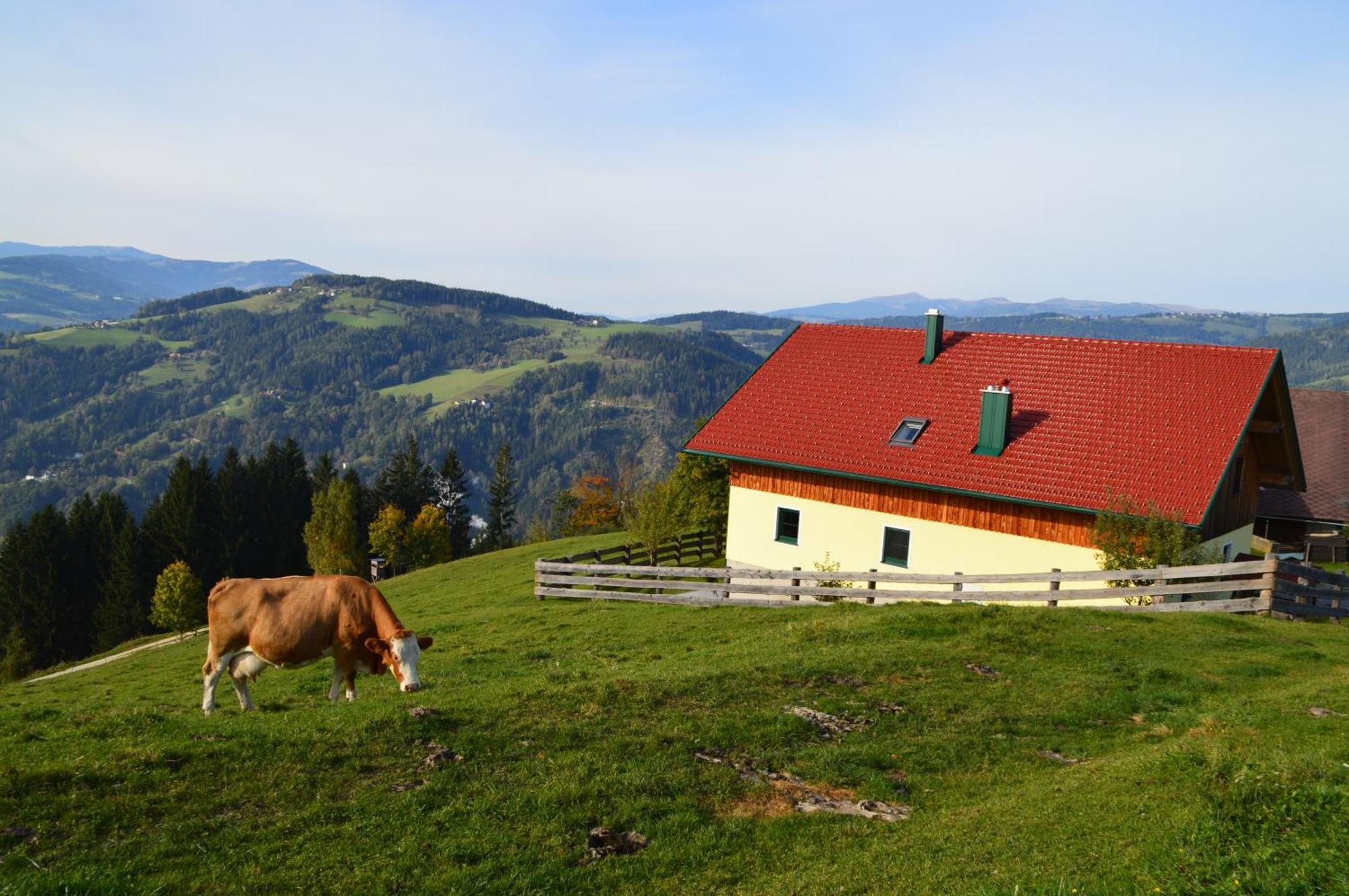 Almferienhaus Russmann Frantschach Bagian luar foto